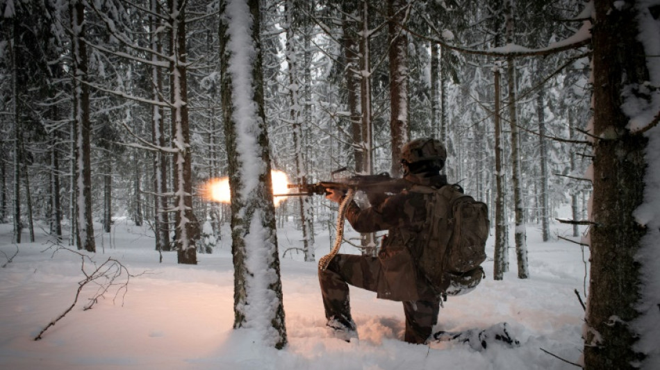 En Estonie, les alli&eacute;s de l'Otan affrontent le grand froid