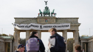 Des militants propalestiniens se hissent sur la Porte de Brandebourg &agrave; Berlin
