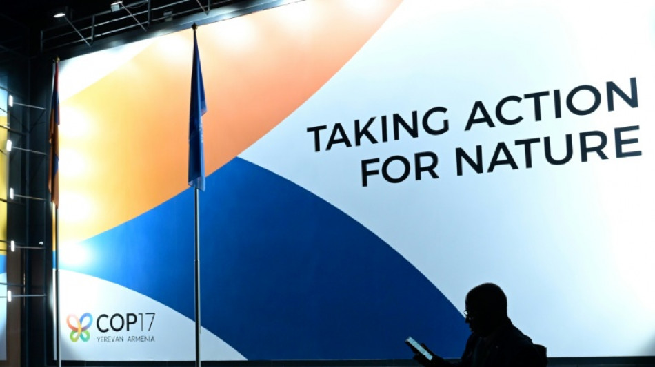 Nations accused of undermining science at UN nature talks