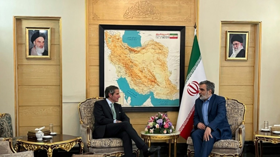 El jefe del OIEA, de visita en Ir&aacute;n para conversar sobre el programa nuclear
