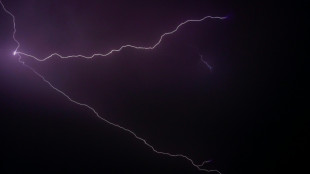 Heftige Unwetter in S&uuml;ddeutschland: 60-J&auml;hriger in Karlsruhe von Baum erschlagen