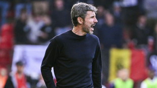 Van Bommel &uuml;bernimmt als belgischer Nationaltrainer