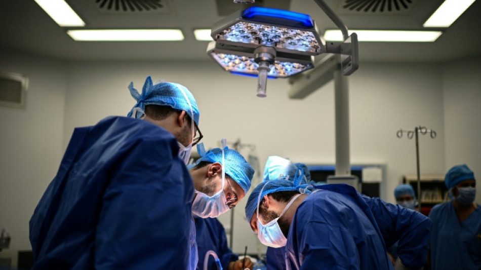 Appelle und pers&ouml;nliche Schicksale: Bundestag debattiert &uuml;ber Organspende