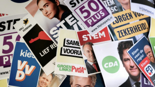 Eleição antecipada na Holanda é considerada um teste para extrema direita na Europa