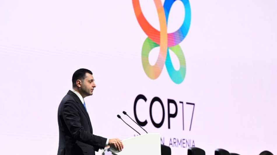 COP17: 252 millions d'hectares de nature restaur&eacute;s, niveau in&eacute;dit selon l'ONU
