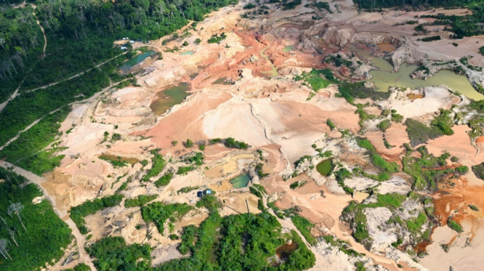 La deforestaci&oacute;n en la Amazon&iacute;a brasile&ntilde;a registr&oacute; un nuevo r&eacute;cord m&iacute;nimo