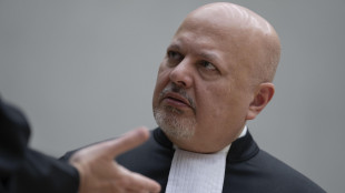 Cpi a Libia, 'arrestate e consegnateci al Masri'