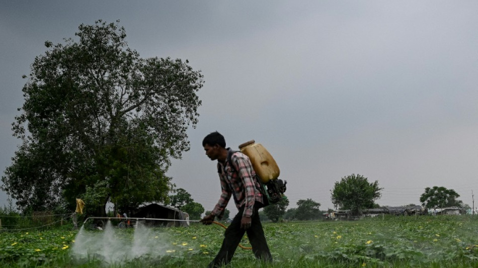 Los pesticidas agravan la crisis clim&aacute;tica, apuntan oeneg&eacute;s brit&aacute;nicas