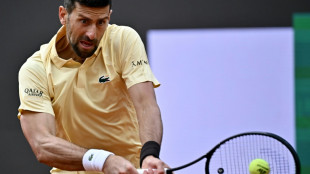 Sinner stands between Djokovic and record 25th major crown at French Open