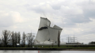 Bundesverwaltungsgericht verhandelt &uuml;ber Teilabriss von Atomkraftwerk Biblis