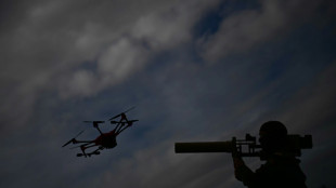 Geheimdienst: Russische Drohne trifft Kraftwerk in Estland 