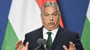 Sorge in der EU &uuml;ber Ger&uuml;chte &uuml;ber Moskau-Besuch Orbans am Freitag