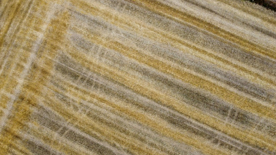 Taxer les engrais russes, le projet de l'UE qui inqui&egrave;te les agriculteurs