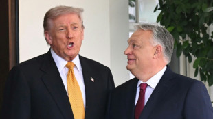 US-&Ouml;lsanktionen gegen Russland: Trump offen f&uuml;r Ausnahme f&uuml;r Ungarn