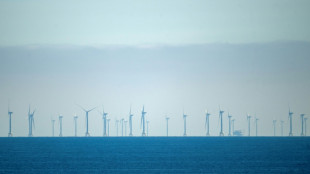 Windkraft auf See: Milliardenschwerer Gro&szlig;auftrag f&uuml;r Neptun-Werft in Rostock