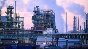 La econom&iacute;a alemana retrocedi&oacute; un 0,3% en el cuarto trimestre de 2023