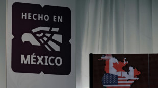 M&eacute;xico e EUA iniciam negocia&ccedil;&otilde;es para revisar T-MEC