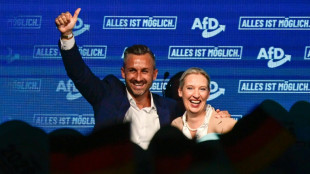 Bericht: AfD-Politik tr&auml;fe Menschen in AfD-Hochburgen besonders hart