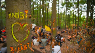 Hambacher Wald soll zu Wildnis werden: Einigung &uuml;ber dauerhaften Schutz