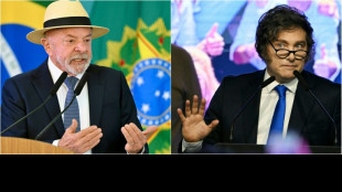 Le Br&eacute;sil rappelle son ambassadeur en Argentine apr&egrave;s des "propos offensants" de Milei