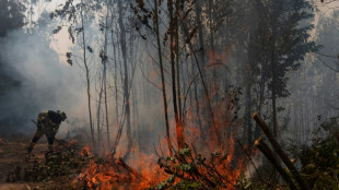 Incendies au Chili: situation toujours critique, des quartiers entiers ravag&eacute;s