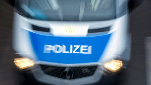 Kinderstreit um Fußball in Berlin mündet in Massenschlägerei mit hundert Beteiligten