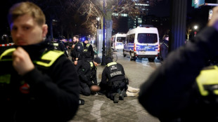 Weitere Festnahme in Zusammenhang mit Messerattacke an Berliner Holocaust-Mahnmal
