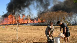 El jefe de la polic&iacute;a en Brasil aboga por penas m&aacute;s duras contra los autores de incendios