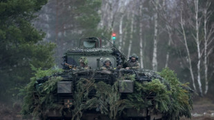 Beirat beim Wirtschaftsministerium f&uuml;r Reform der Bundeswehr-Beschaffung