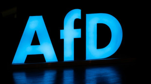 Vorw&uuml;rfe gegen Spitzenkandidaten: AfD verliert in Umfragen zur Europawahl