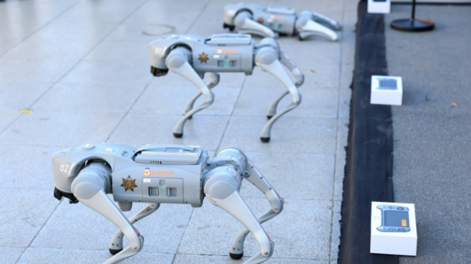 "Perros robot" apoyar&aacute;n a polic&iacute;as mexicanos durante el Mundial de 2026