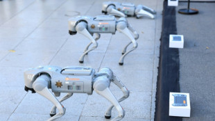 "Perros robot" apoyar&aacute;n a polic&iacute;as mexicanos durante el Mundial de 2026
