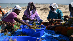 India recurre a corales y praderas marinas ante la subida del nivel del mar