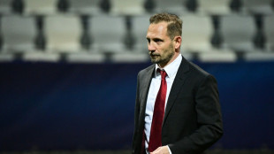 Medien: Union Berlin will Schweizer Meistertrainer