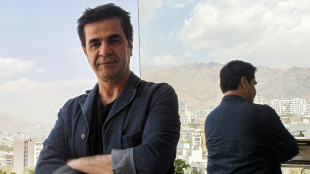 Ir&aacute;n libera bajo fianza al cineasta Jafar Panahi tras casi 7 meses preso