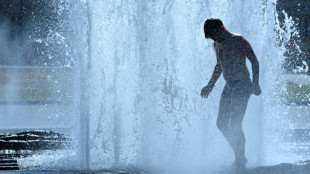 Hitzewelle steuert auf H&ouml;hepunkt zu: Temperaturen von &uuml;ber 40 Grad m&ouml;glich