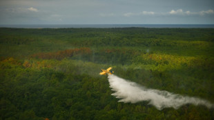 France's largest wildfire in decades 'under control', says minister