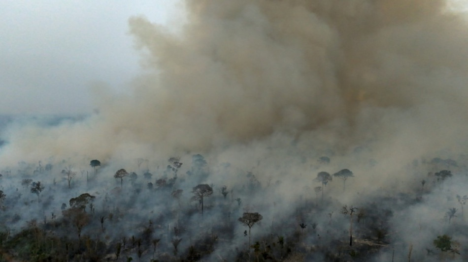 Inc&ecirc;ndios na Amaz&ocirc;nia ca&iacute;ram a m&iacute;nimo hist&oacute;rico em 2025