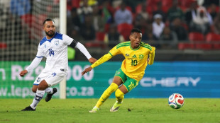 South Africa delays World Cup trip on visa snarl