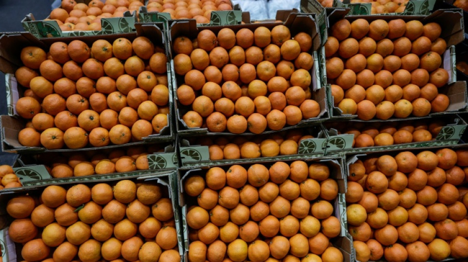 Bundesgerichtshof verhandelt in Baumarkt-Streit um Farbe Orange