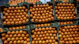 Bundesgerichtshof verhandelt in Baumarkt-Streit um Farbe Orange