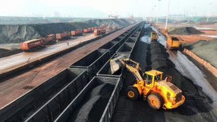 El consumo mundial de carb&oacute;n bati&oacute; un r&eacute;cord en 2023 pese al cambio clim&aacute;tico