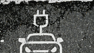 Neue F&ouml;rderung soll E-Autos f&uuml;r breite Bev&ouml;lkerung erschwinglicher machen