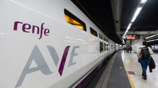 M&aacute;s de 300 trenes cancelados por una huelga en Espa&ntilde;a