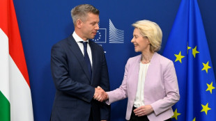Geldsegen f&uuml;r Ungarn: Br&uuml;ssel und Budapest einigen sich auf Freigabe eingefrorener EU-Milliarden