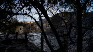 Bilanz von Waldbrand in Andalusien: Zw&ouml;lf der 13 Todesopfer stammten aus dem Ausland