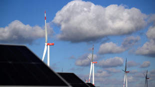 Expertenrat erwartet Verfehlen von Klimazielen und fordert Handeln der Regierung