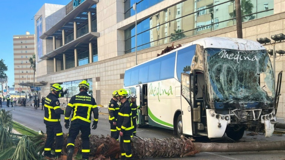 Tres fallecidos en Espa&ntilde;a por un autob&uacute;s que perdi&oacute; el control
