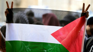 Gewalt gegen propalästinensische Demonstranten: Europarat rügt Deutschland scharf