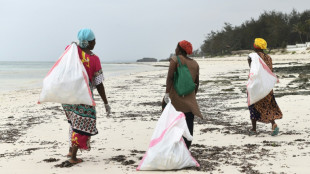 Fl&eacute;au des plages, les tongs abandonn&eacute;es deviennent objets d'arts au Kenya